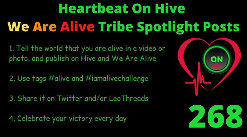 Heartbeat On Hive spotlight post268.png