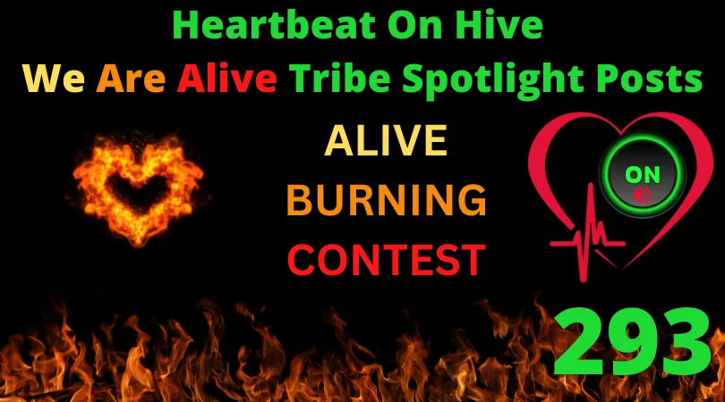 Heartbeat On Hive spotlight post293.png