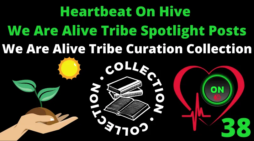Heartbeat On Hive spotlight posts38.png