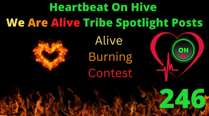 Heartbeat On Hive spotlight post246.png