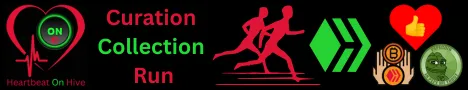 curationcollectionrun.png