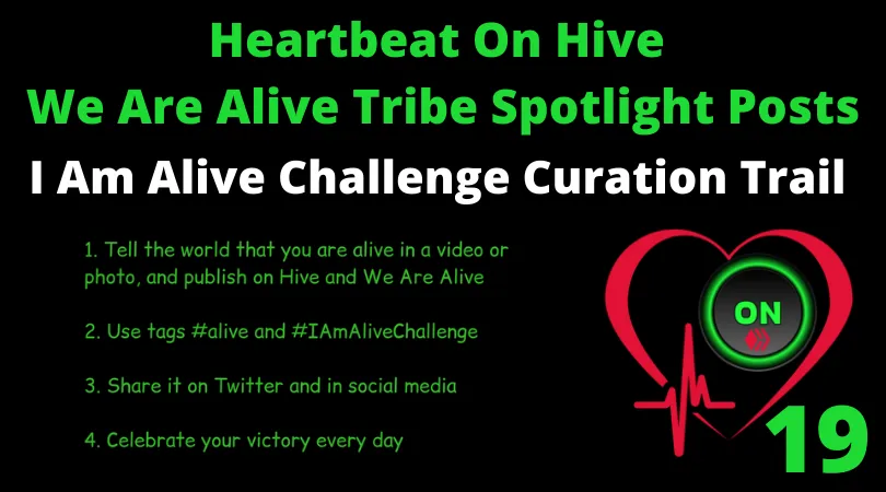 Heartbeat On Hive spotlight posts19.png