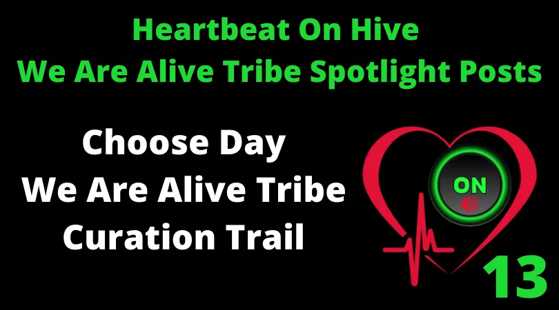 Heartbeat On Hive spotlight posts13.png