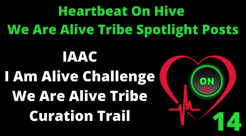 Heartbeat On Hive spotlight posts14.png
