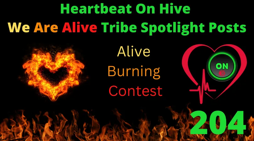 Heartbeat On Hive spotlight post204.png