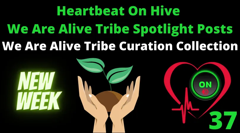 Heartbeat On Hive spotlight posts37.png