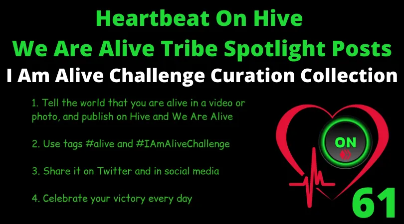 Heartbeat On Hive spotlight posts61.png