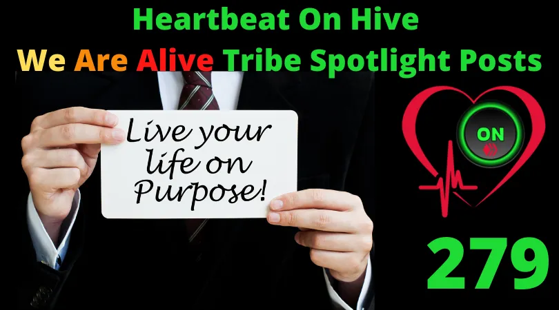 Heartbeat On Hive spotlight post279.png
