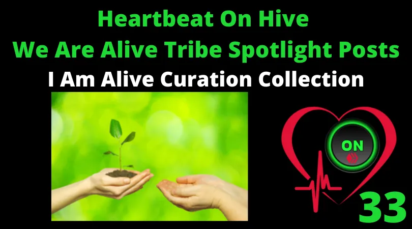 Heartbeat On Hive spotlight posts33.png