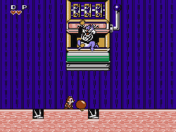 276cat.gif