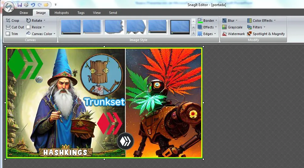 snagit editor.JPG
