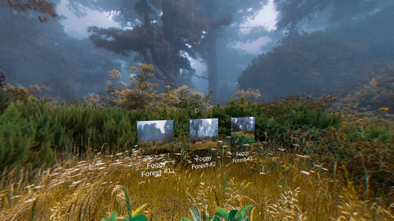 VR360_foggy_forest_javiersebastian.jpg