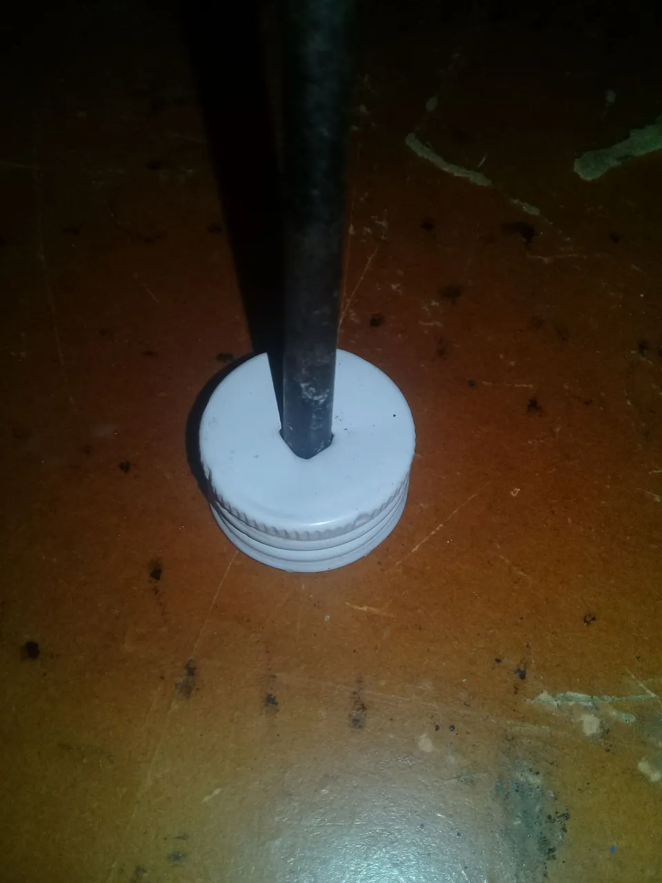 20210608_155653.jpg