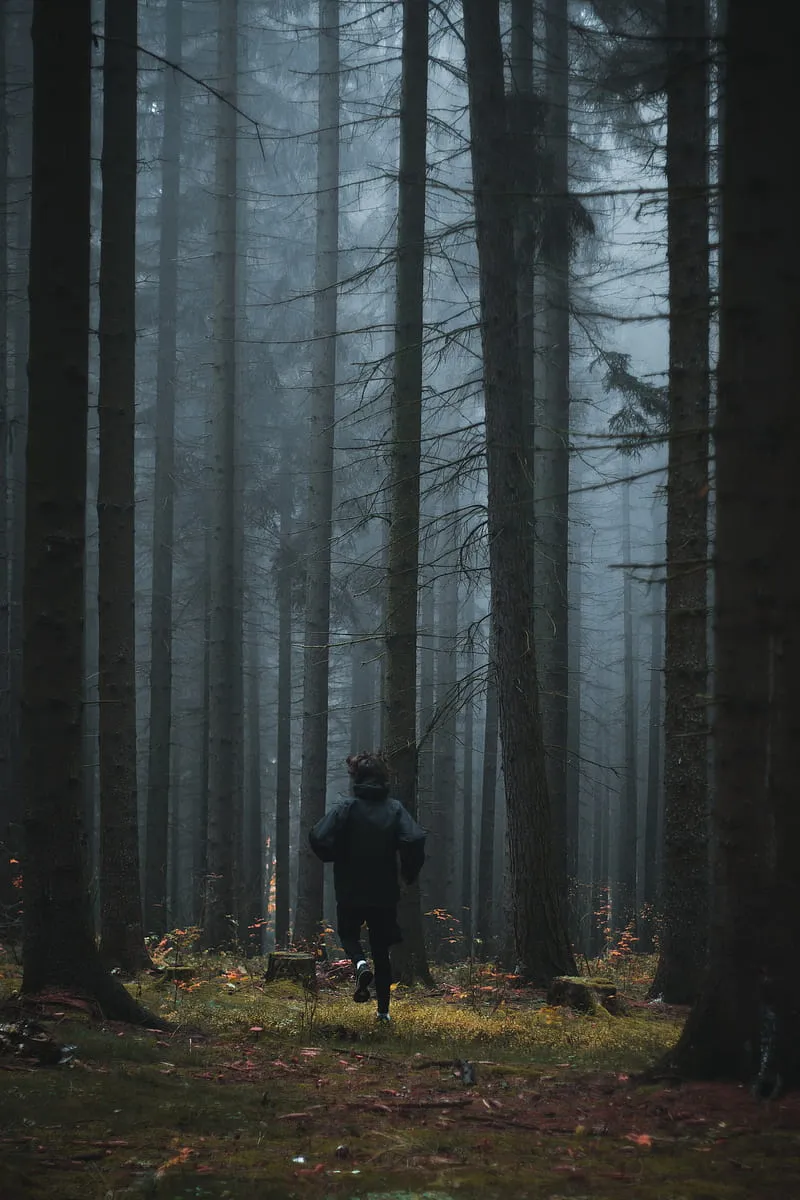 HD-wallpaper-person-running-in-forest-trees-with-mist.jpg