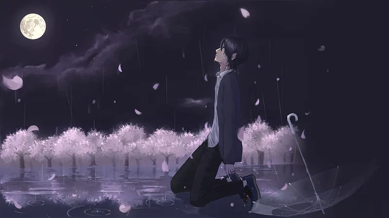 HD-wallpaper-anime-boy-sadness-crying-teary-eyes-moon-raining-petals-anime.jpg