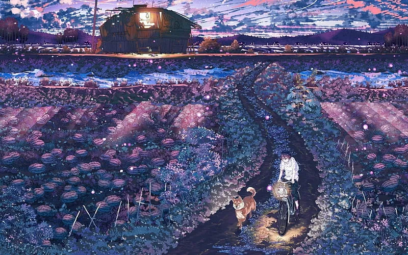 HD-wallpaper-at-sunset-manga-bicycle-sunset-boy-purple-anime-flower-garden-field-dog-blue.jpg