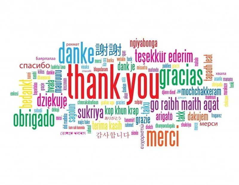 HD-wallpaper-international-thank-you-pretty-merci-sabay-laiku-danke-cg-words-kop-khun-krap-hvala-tapadh-leat-message-tesekkur-ederim-friendship-love-international-mochchakkeram-kindness-ngiyabonga.jpg
