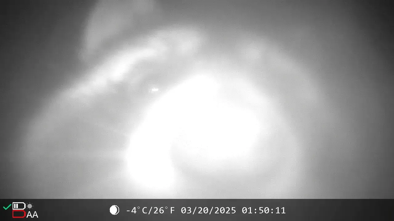 VideoCapture_20250320-171236.jpeg