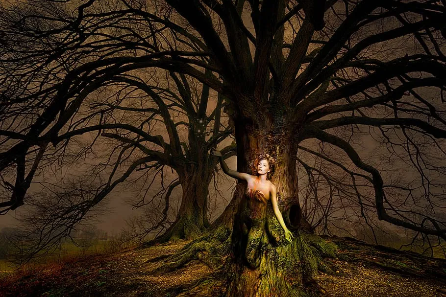 PxFuel-fantasy-woman-tree-light.jpg