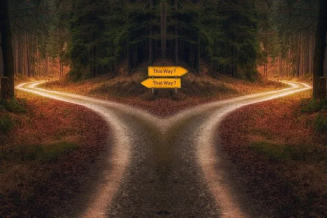 decision-gdb5d777d5_640.jpg