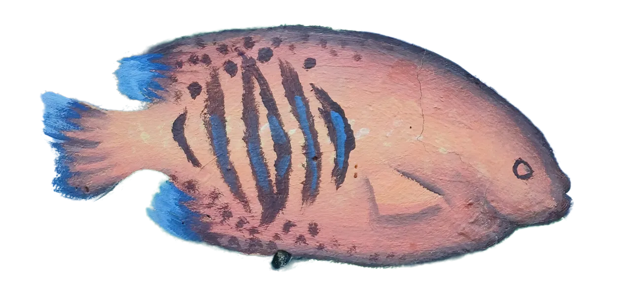 Alex2Alex-FlameAnglefish.png