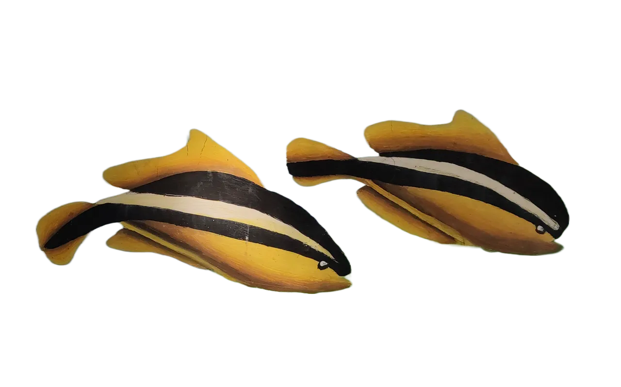 Alex2Alex-SweetlipFish.png