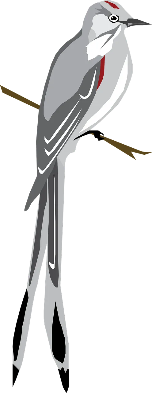 Pixabay-ArtsyBeeKids-on-limb-bird-5726348_1280.png