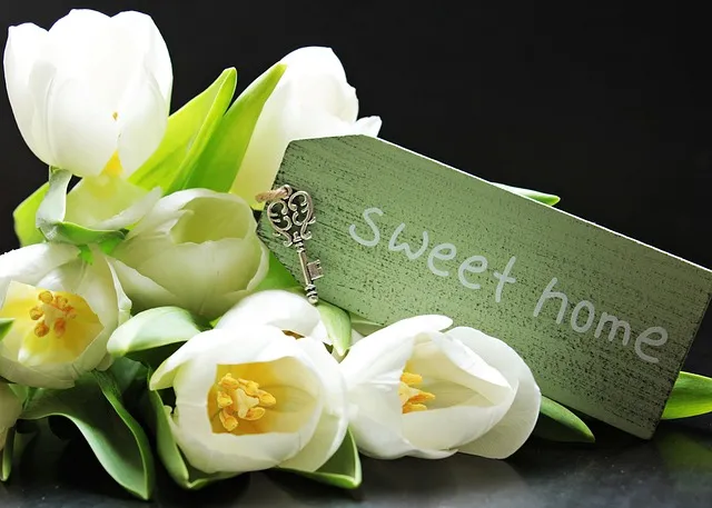 Pixabay-NoName_13-keys-to-home-tulips-g2b7c08bae_640.jpg