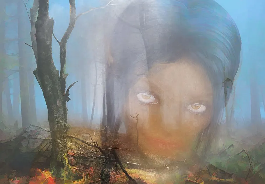 PXFuel-face-landscape-forest-nature.jpg