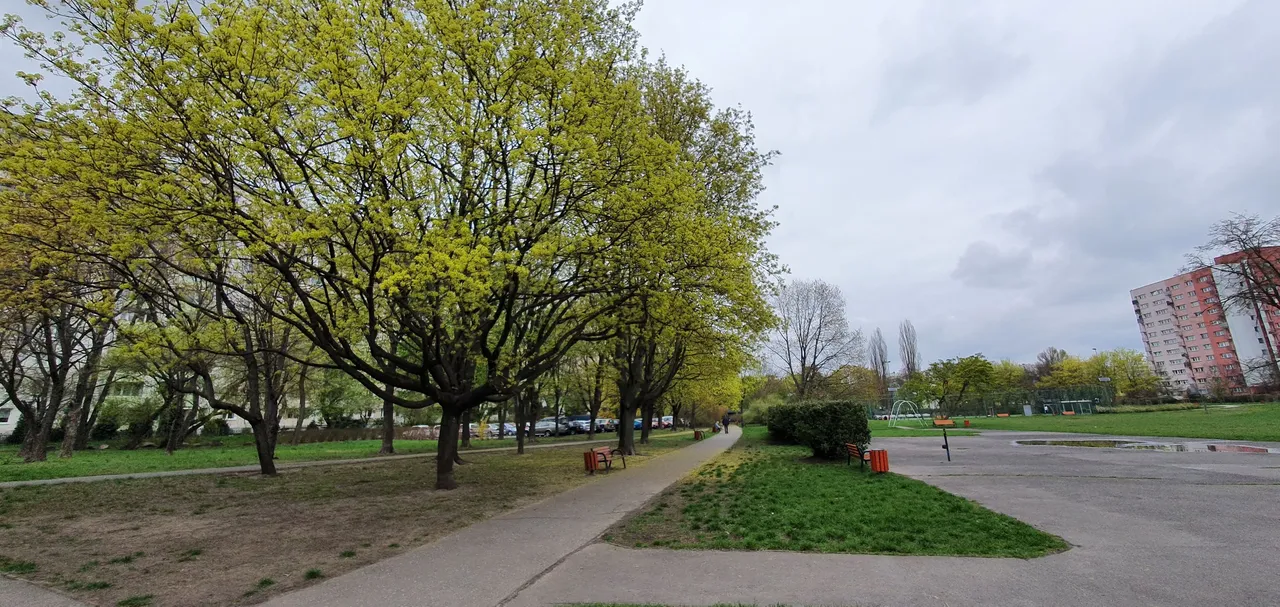 20220426_144432.jpg
