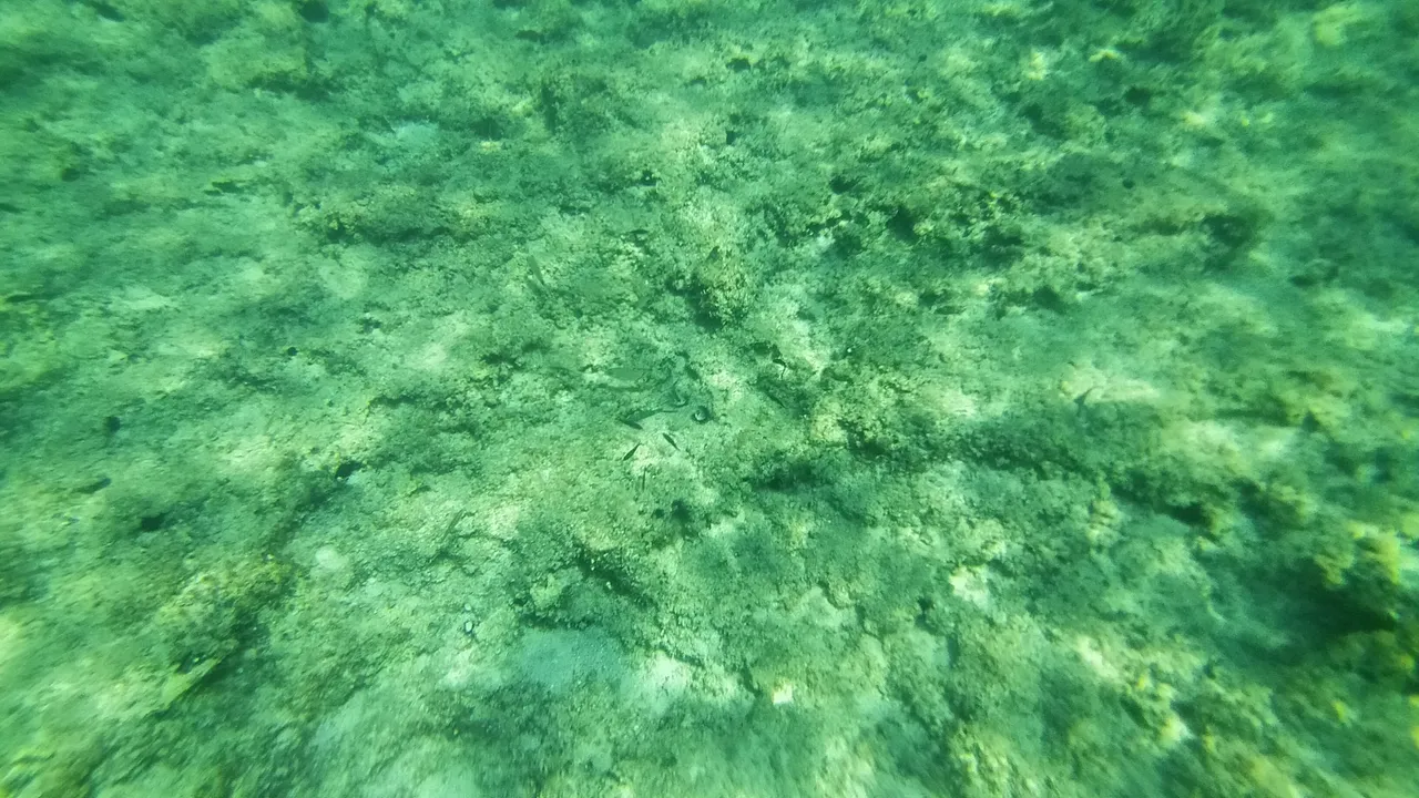 IMG20230817114953.jpg