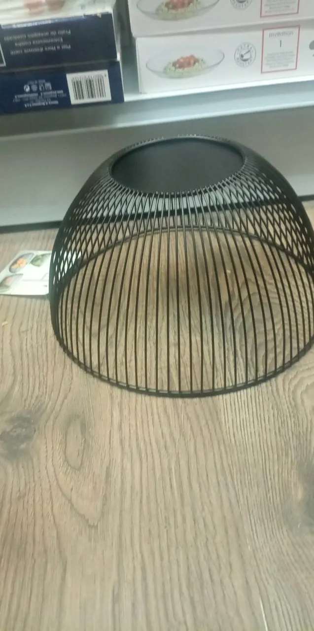 received_6363554277059476.jpeg