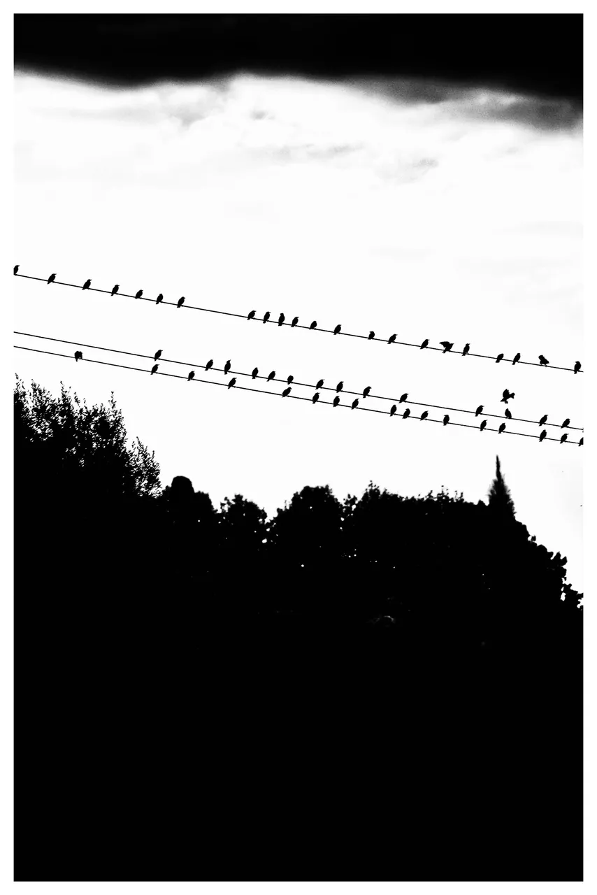 DSC_0068-01.jpeg