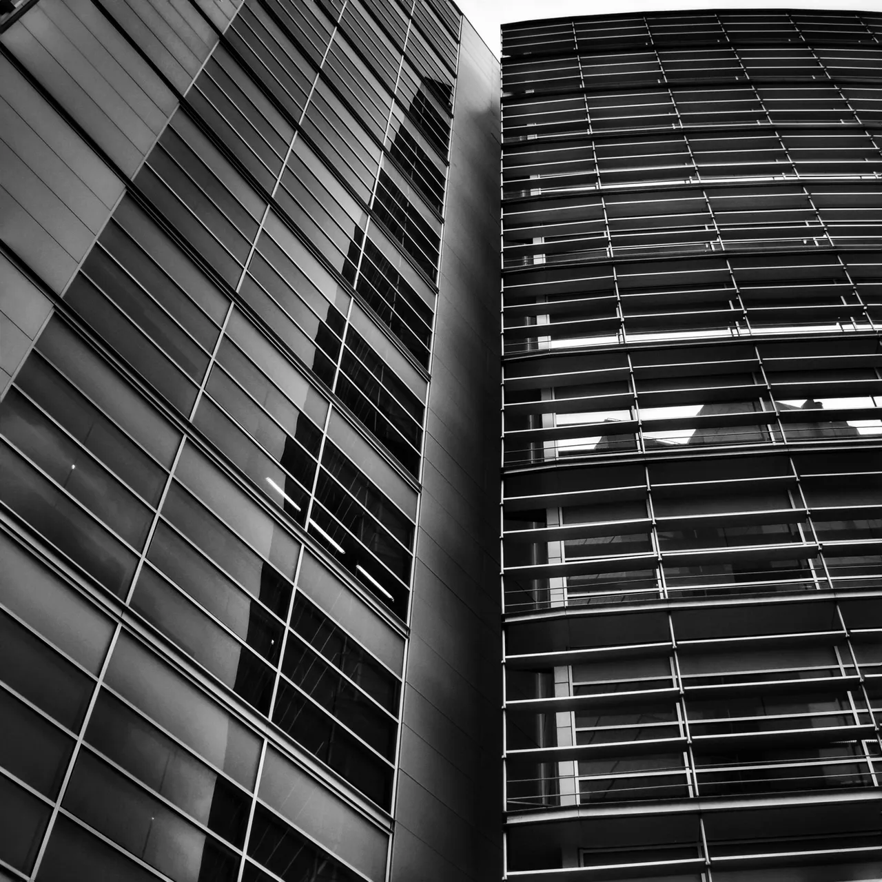 m5_DSC_0024-01.jpeg