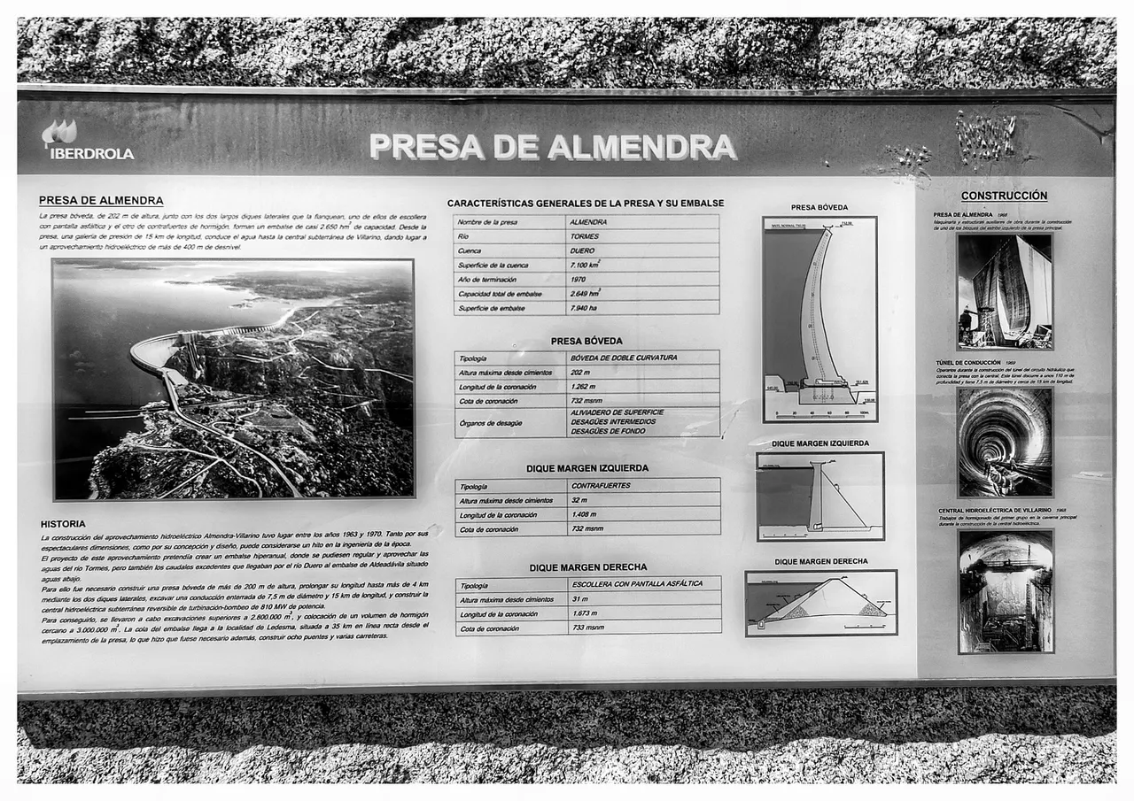 IMG_20220926_130732-02.jpeg