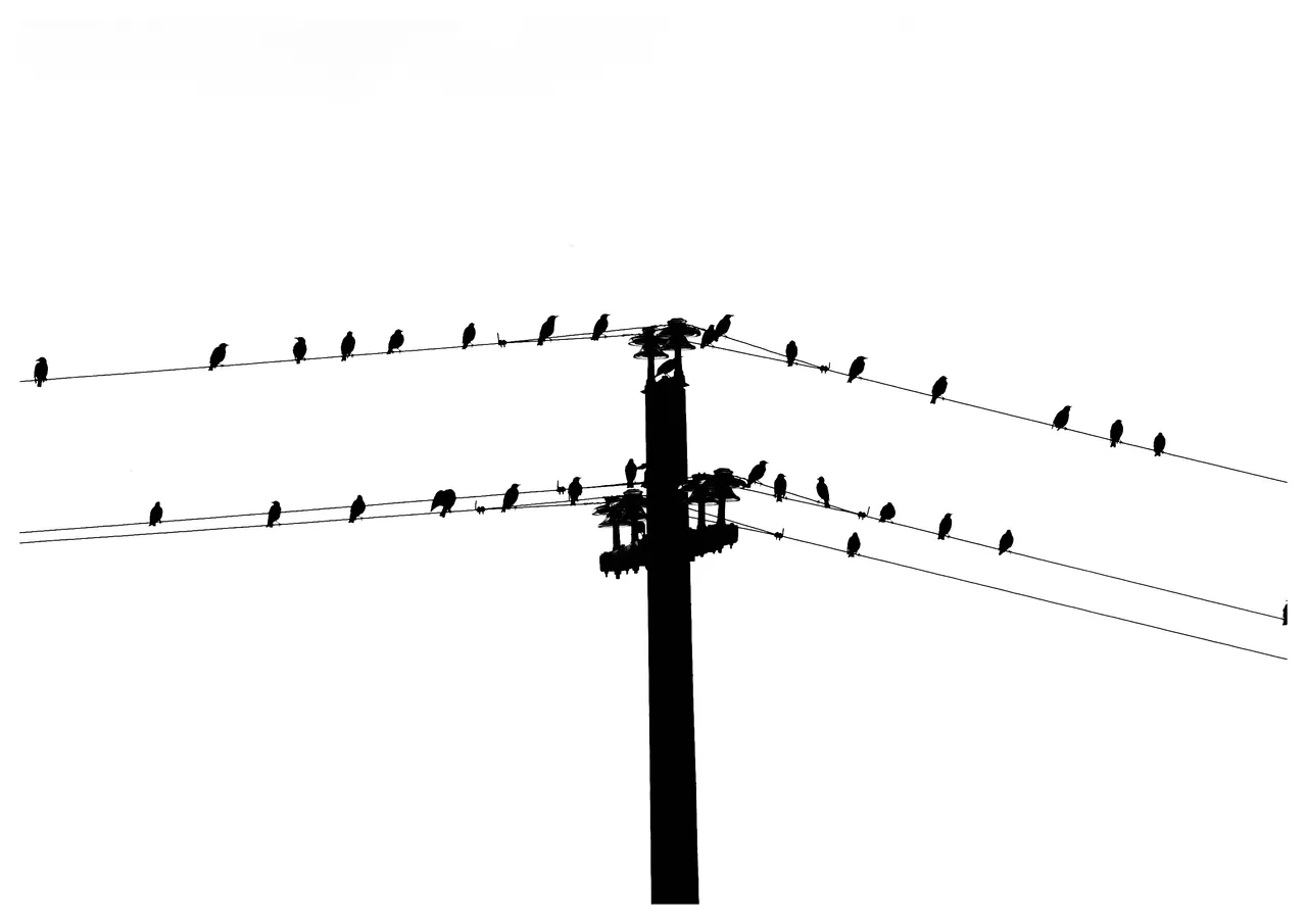 DSC_0081-01.jpeg
