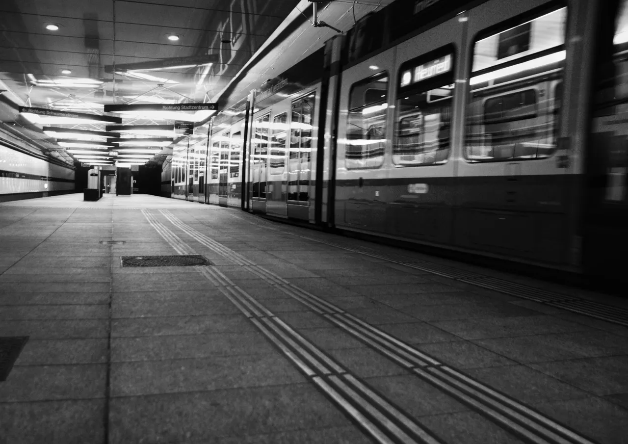 _DSC0241-02.jpeg