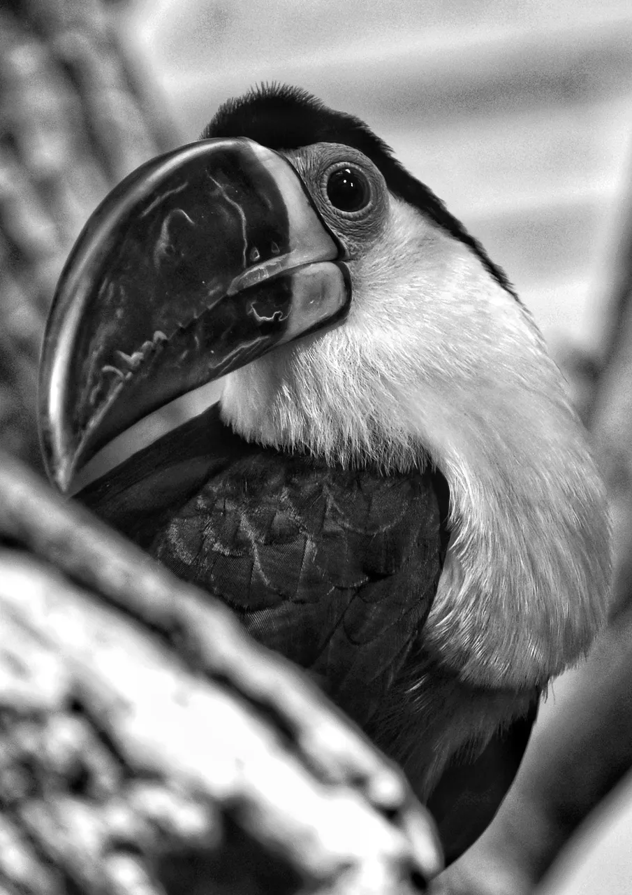 DSC_0264-02-01.jpeg