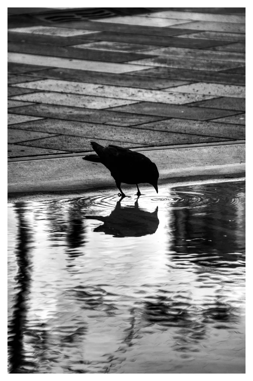 # Schweiz Zürich Oerlikon _DSC0128-01.jpeg