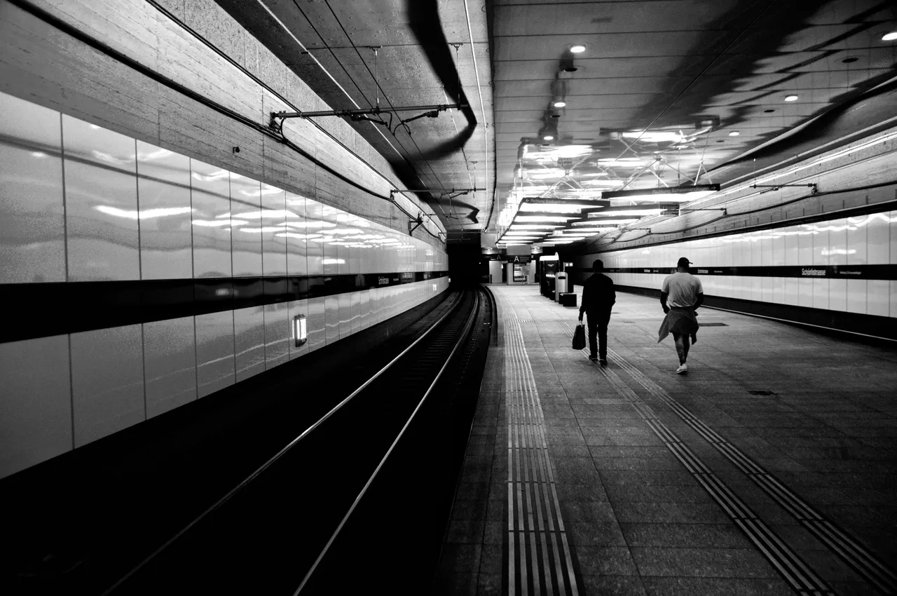 _DSC0337-01.jpeg