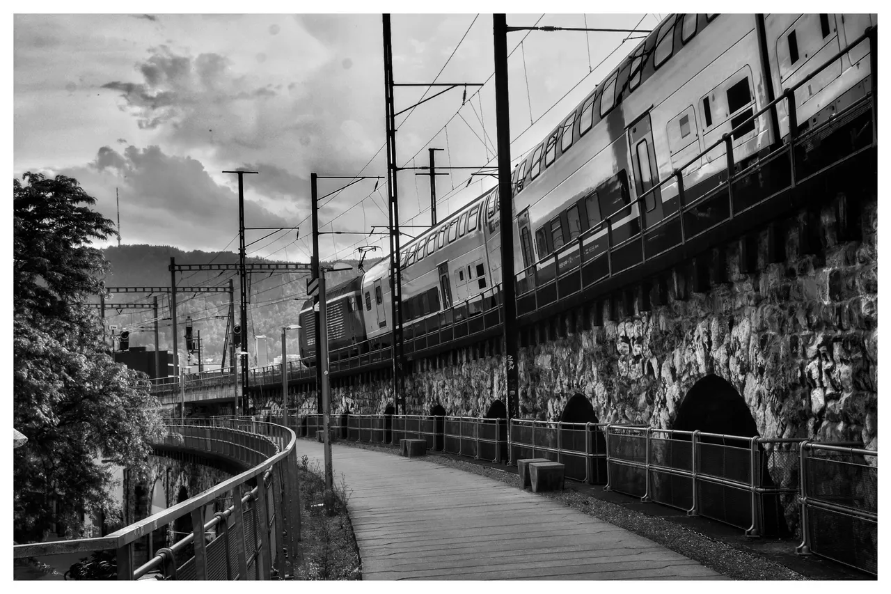DSC_0437-02.jpeg