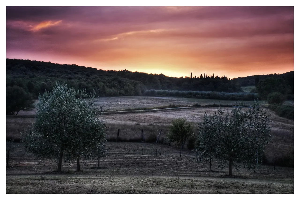 #0177 Italien Toscana 1693438891820-01.jpeg
