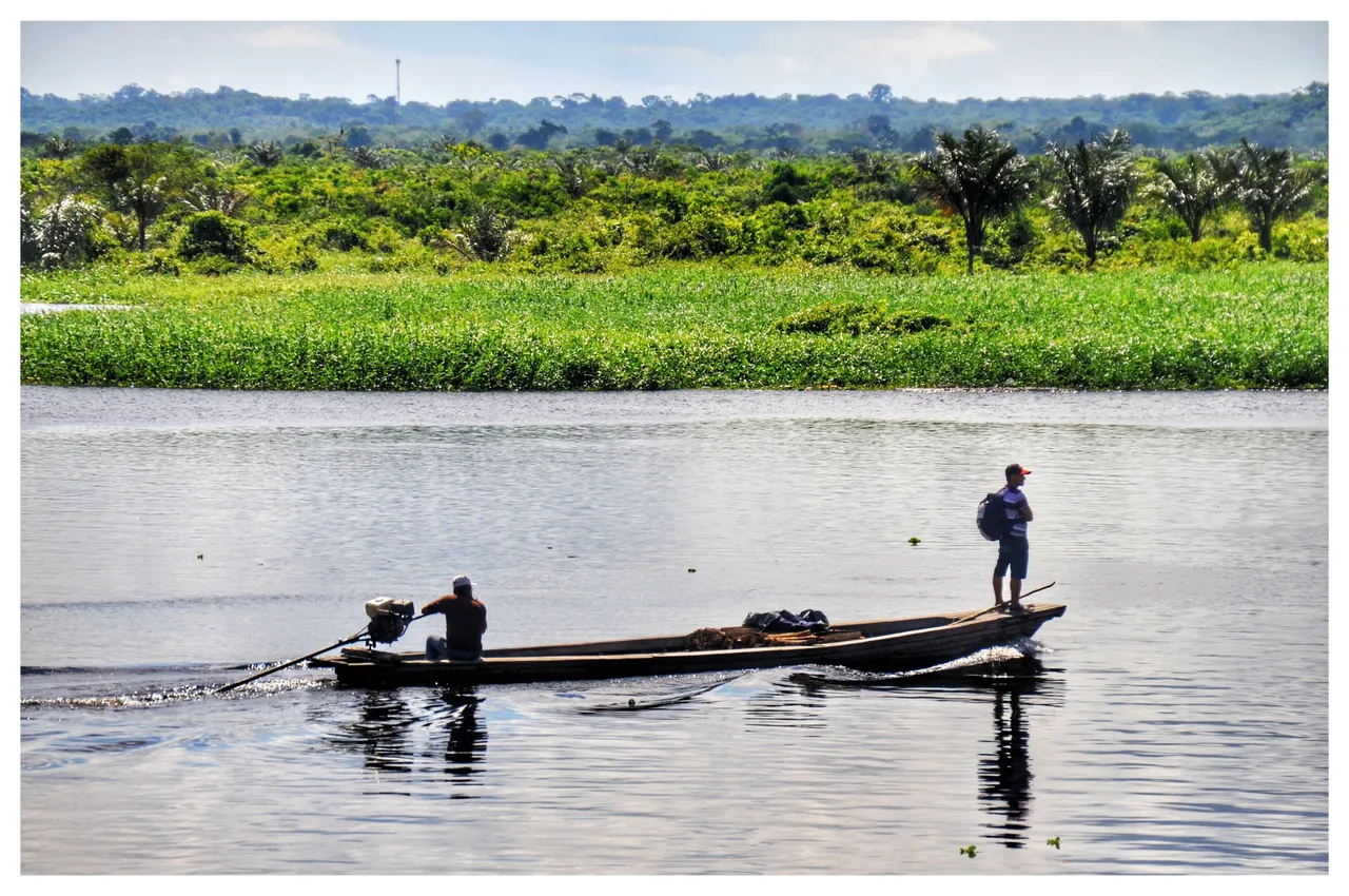 #12 Amazonas Iquitos DSC_0110-01.jpeg