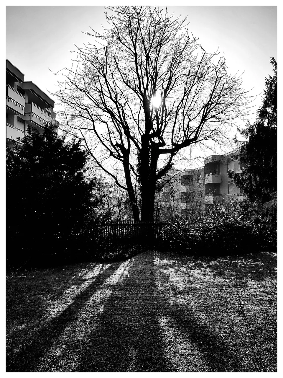 #0173 Schweiz Zürich Seebach 1693227150563-01.jpeg