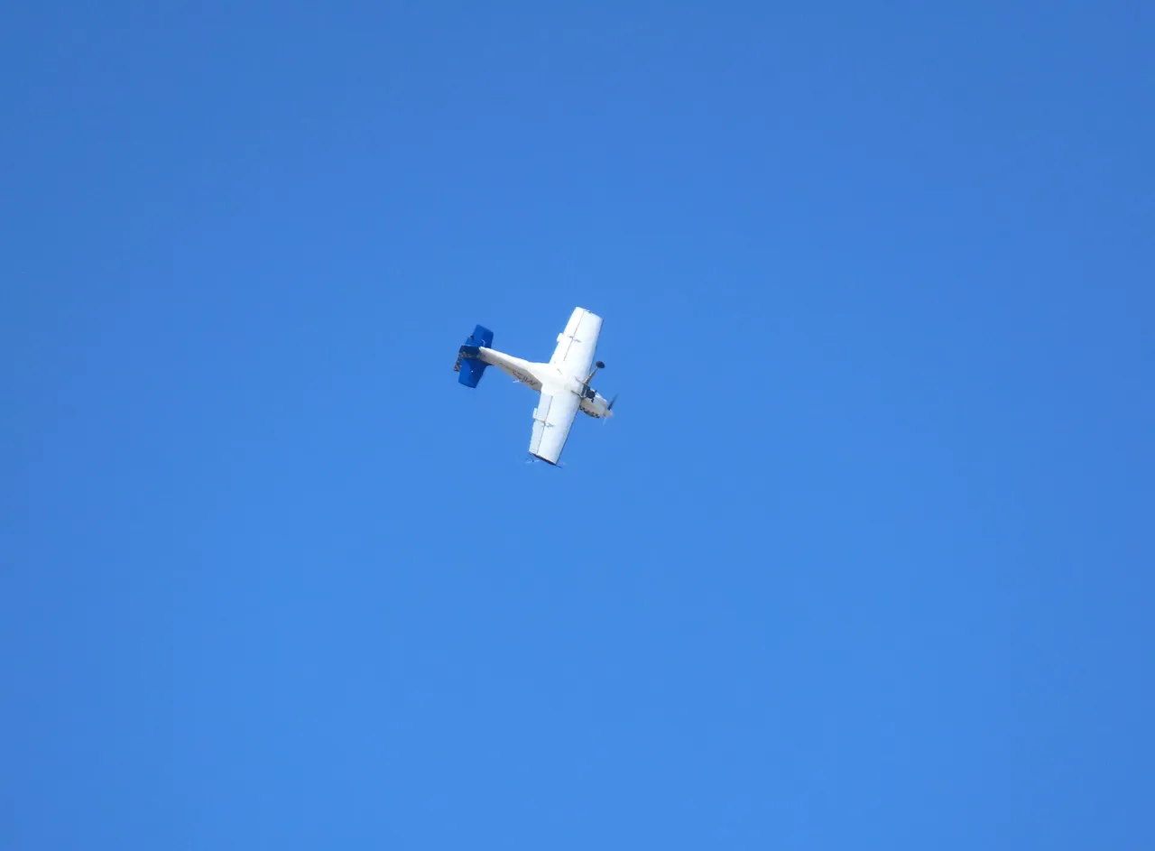 147.JPG