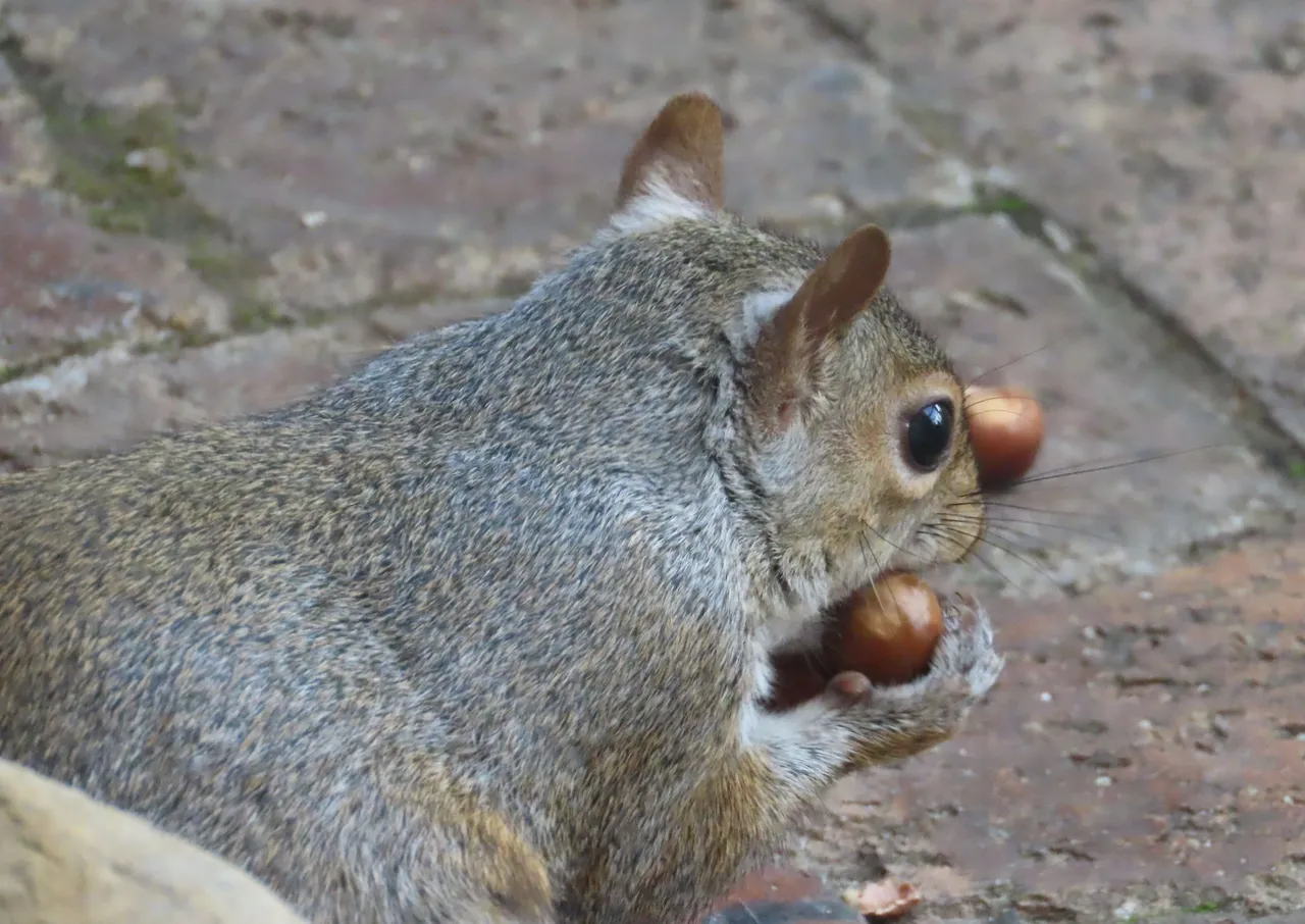 245.JPG