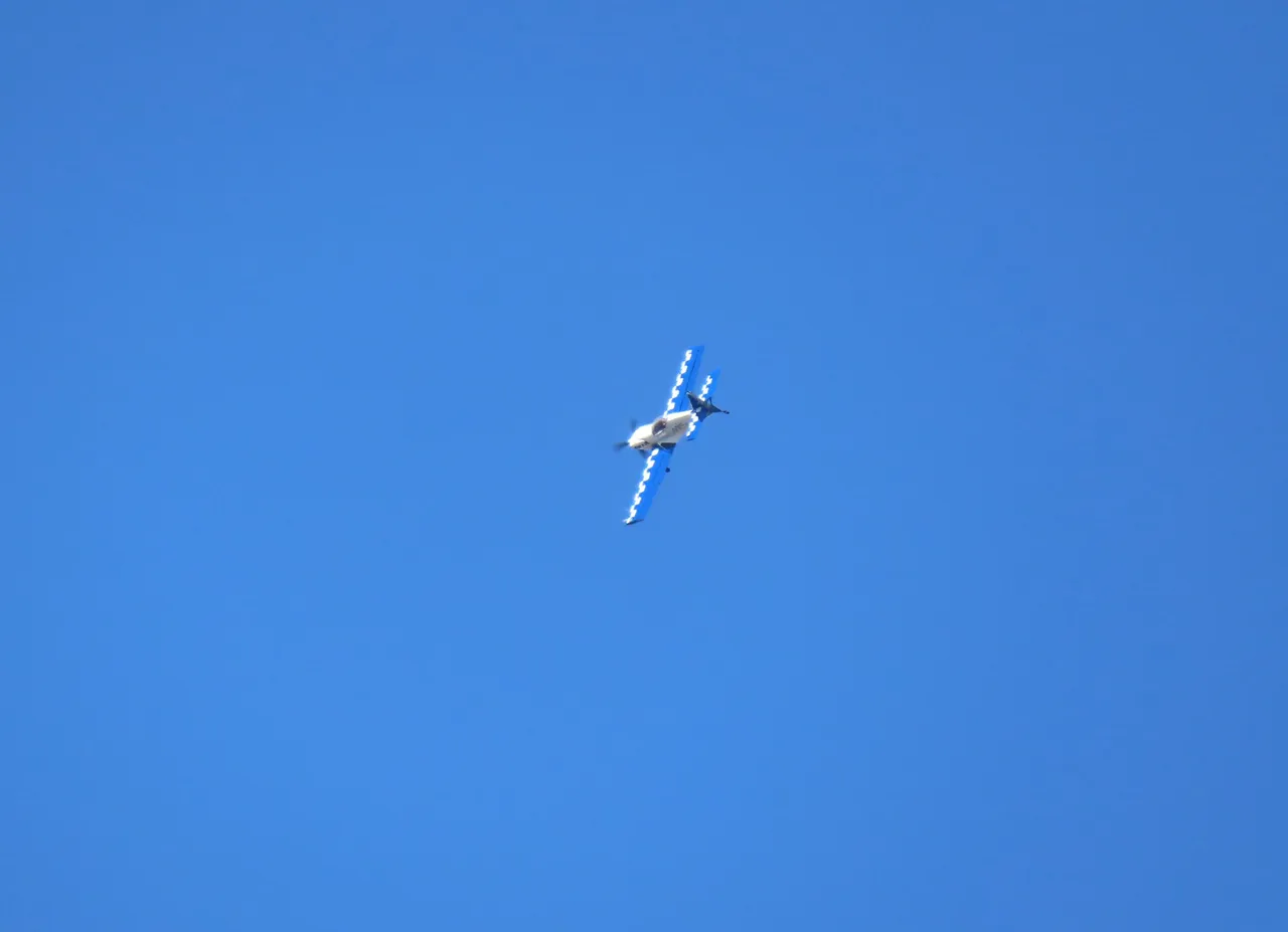 139.JPG