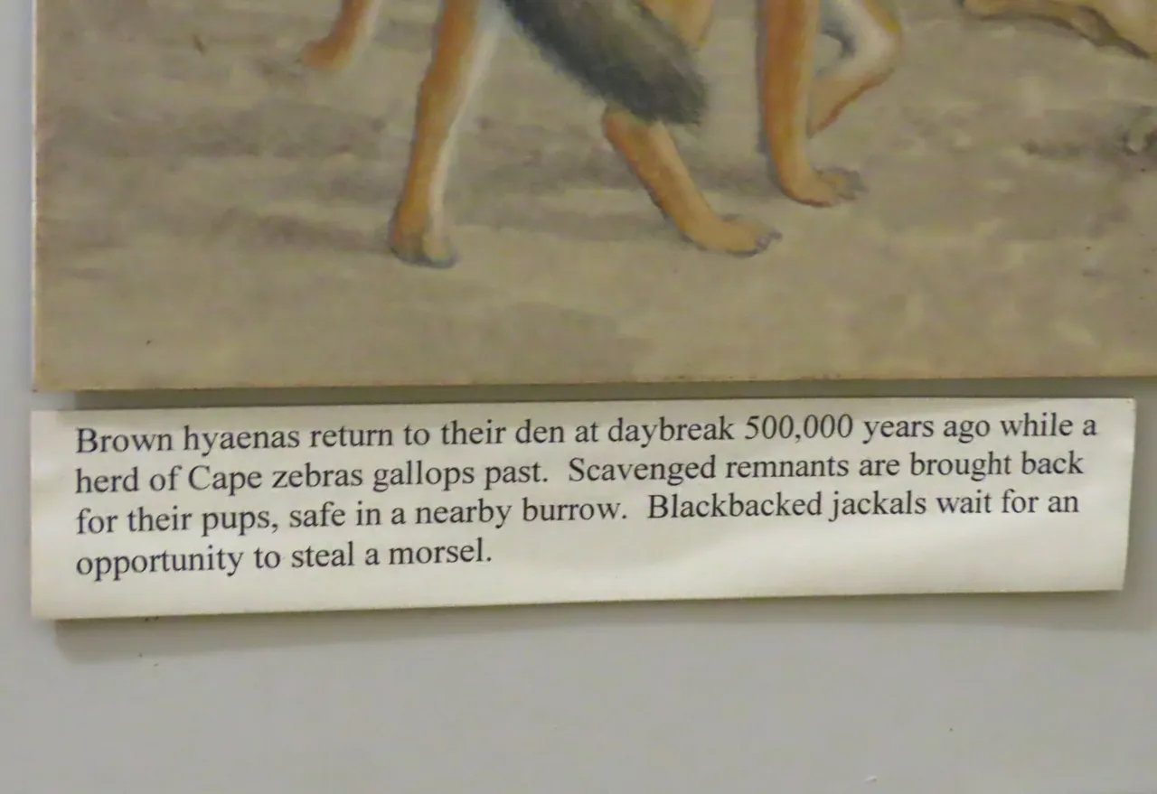 694.JPG