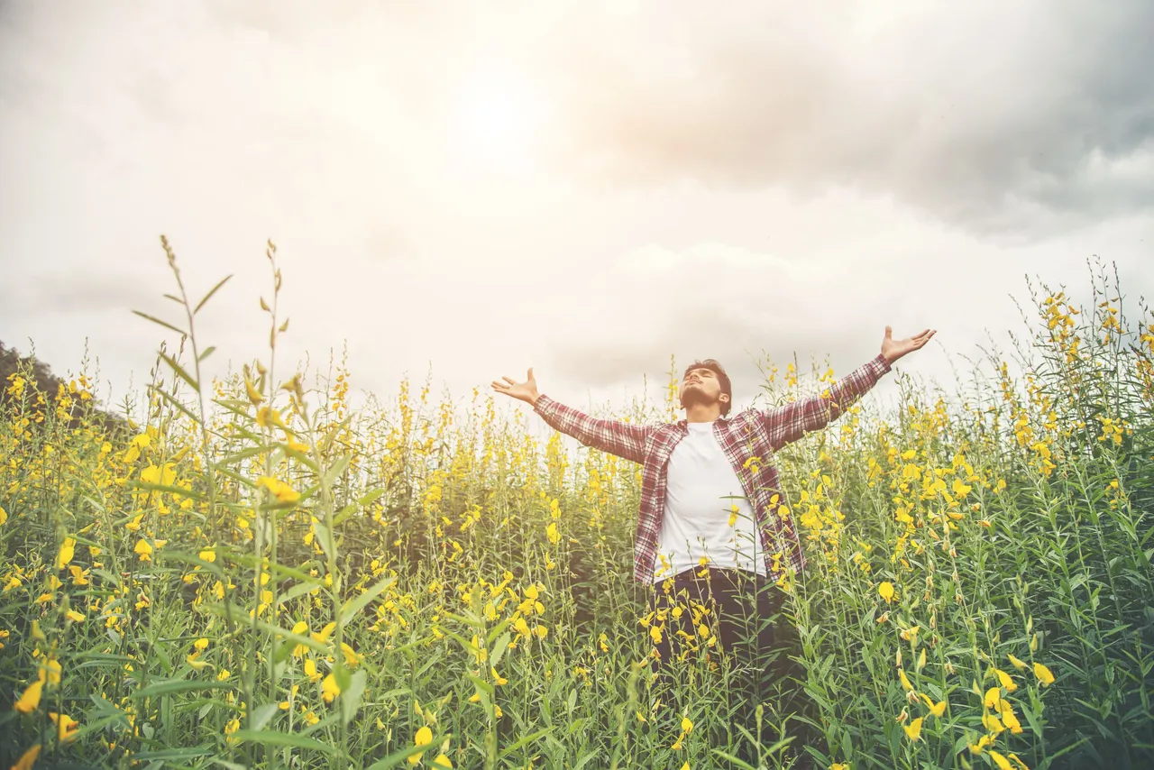 handsome-meadow-peace-freedom-cloud.jpg