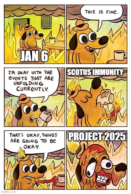 reelection.jpg